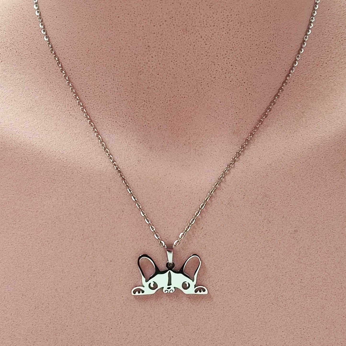 COLLAR FRENCHIE
