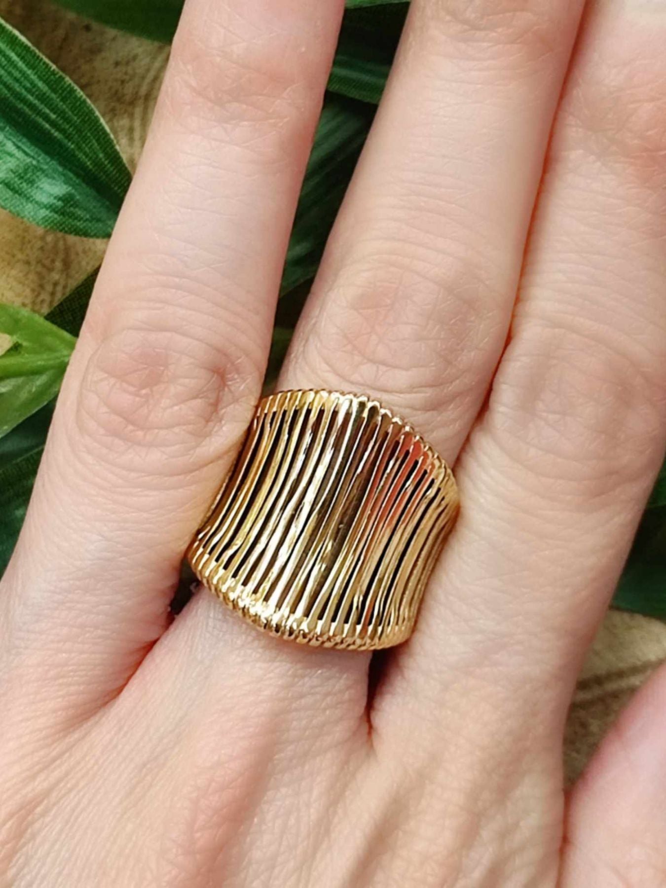 ANILLO ALIS